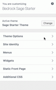 Bedrock Sage Starter Kit Theme Options